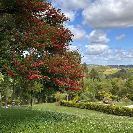Hébergement de vacances Casa Floravista