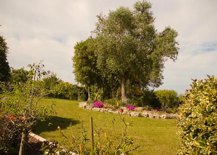 Casa Floravista 度假居 *